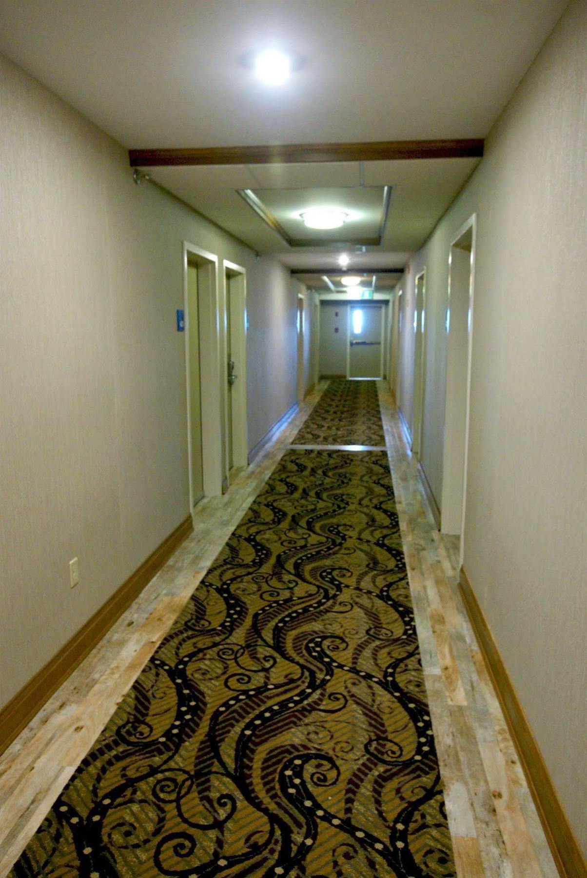 Holiday Inn Express Hotel & Suites Uptown Fredericton By Ihg Dış mekan fotoğraf